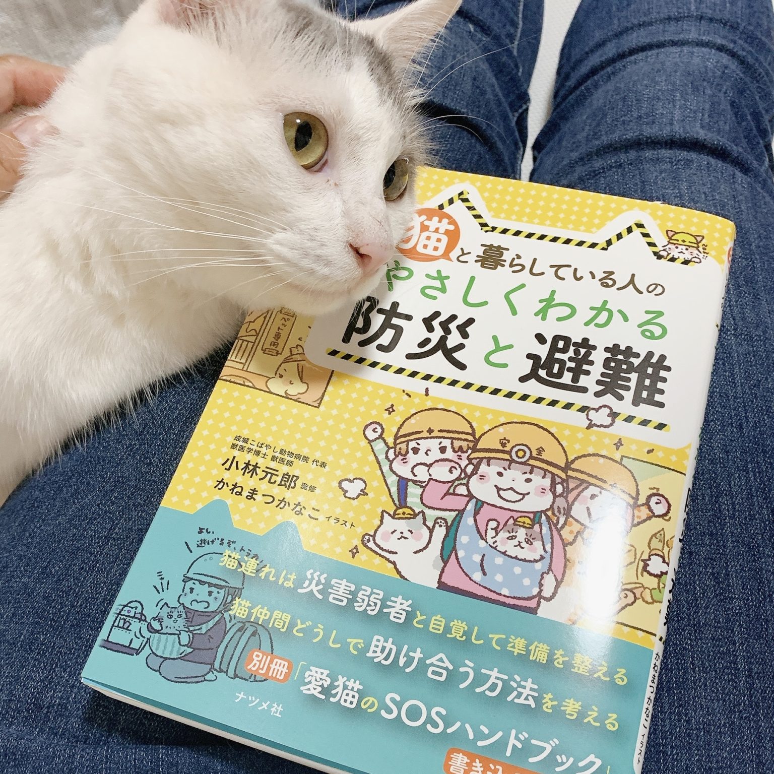 ペットアカデミー教材☆未開封☆猫の体調 販売数No.1 - dcsh.xoc.uam.mx